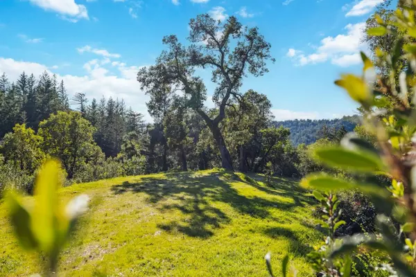 Boulder Creek, CA 95006,28 Hartman Creek