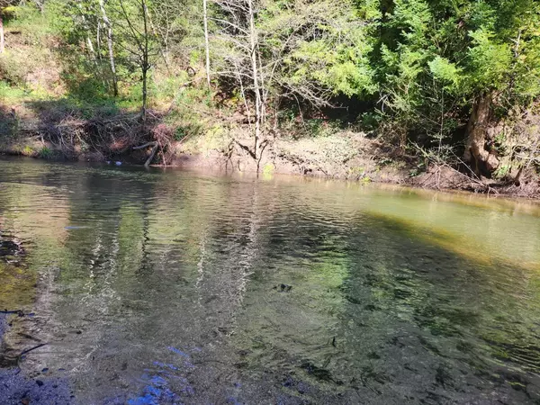 Boulder Creek, CA 95006,13330 Irwin WAY