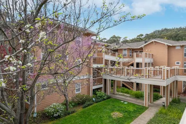 Brisbane, CA 94005,733 Swallowtail CT