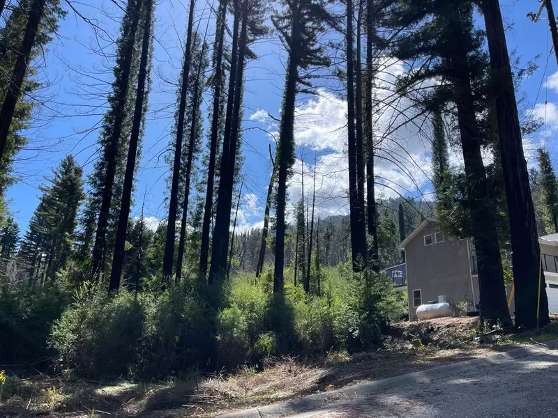 115 Fallen Leaf DR, Boulder Creek, CA 95006