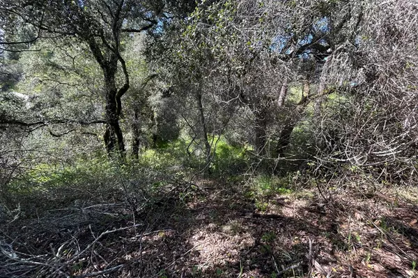 Ben Lomond, CA 95005,0 Marion AVE