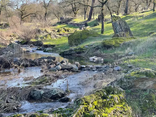 Bangor, CA 95914,0 Avacado RD