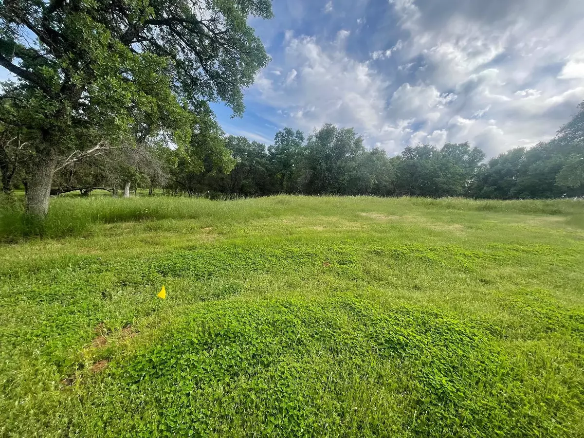 Bangor, CA 95914,0 Avacado RD