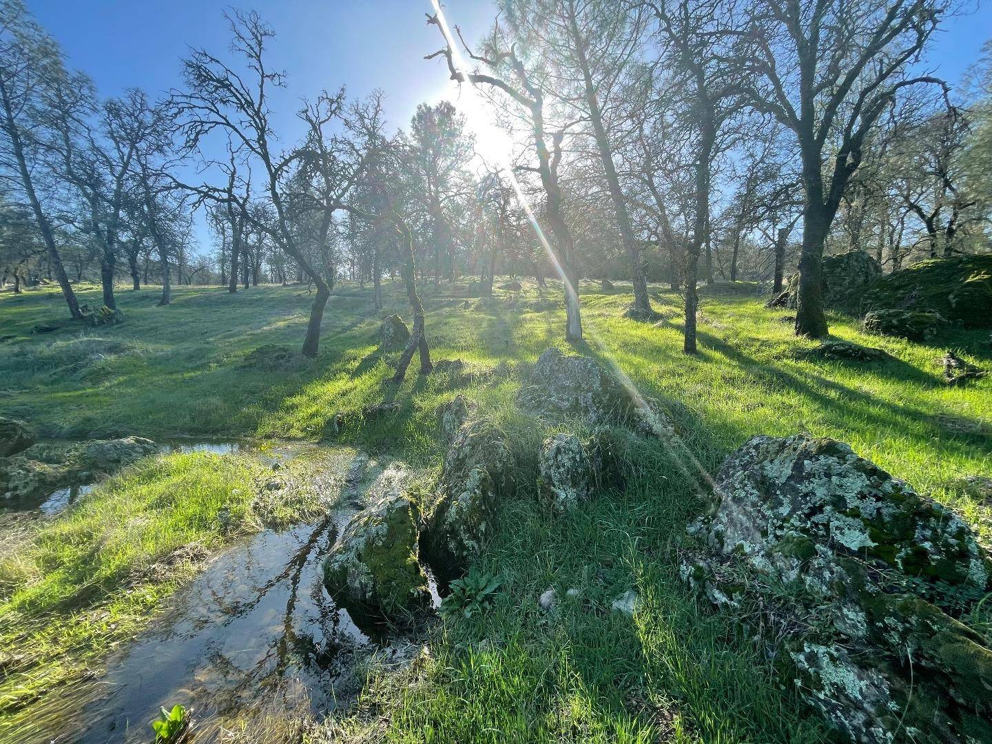 Oroville, CA 95966,00 Avacado RD