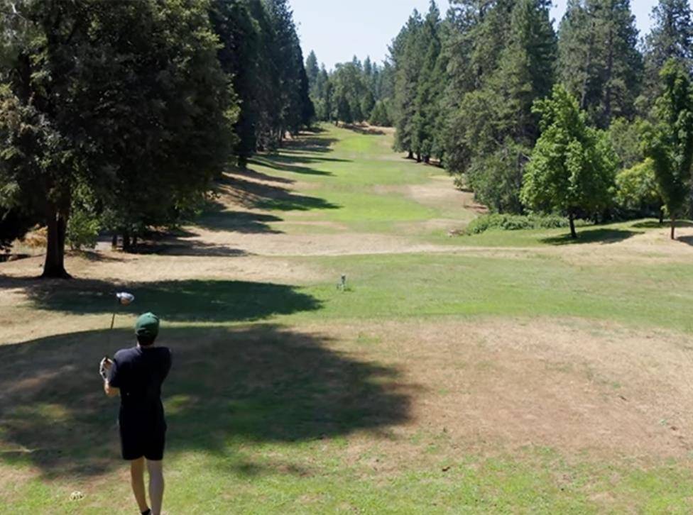 Murphys, CA 95247,280 Forest Meadows DR