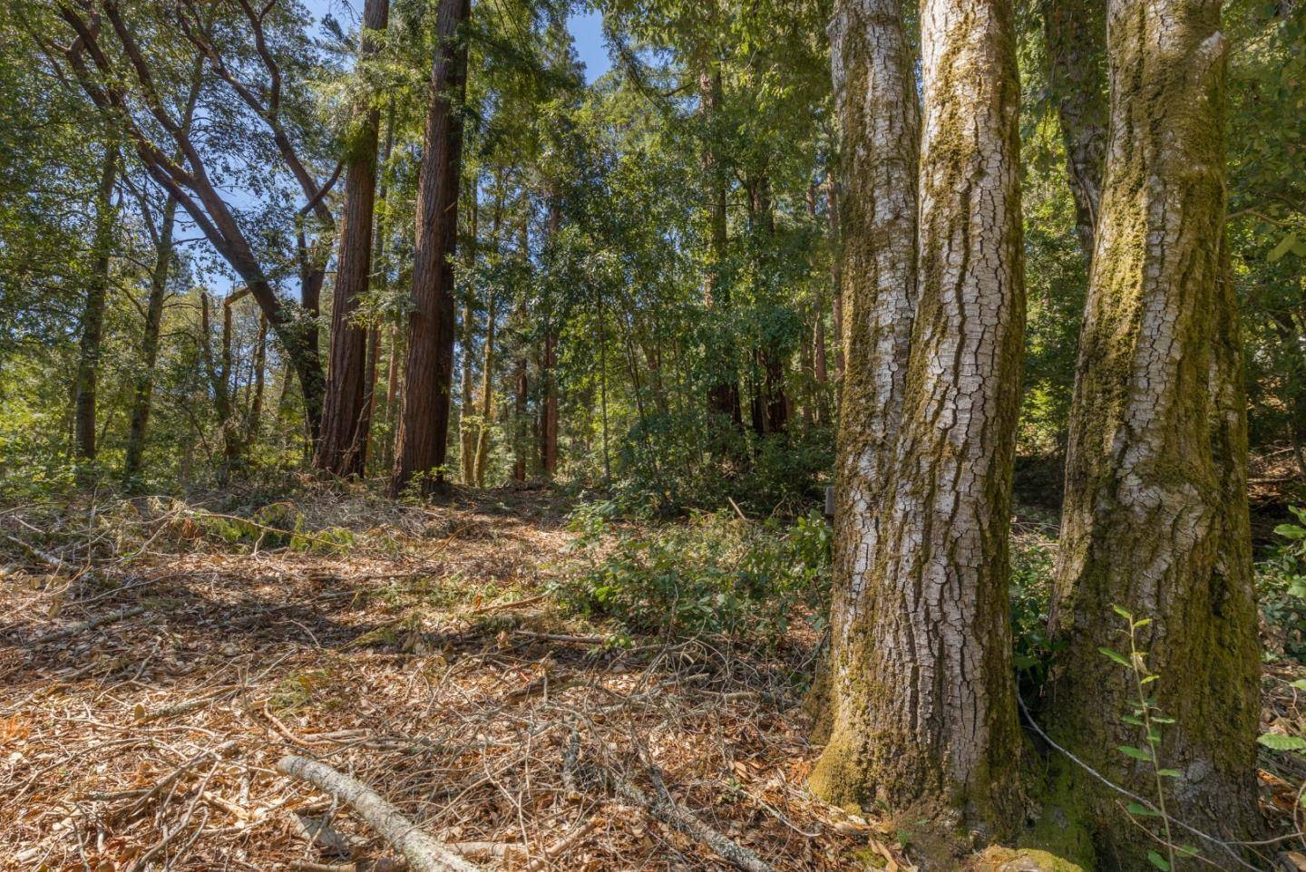 Brookdale, CA 95007,333 Western Avenue