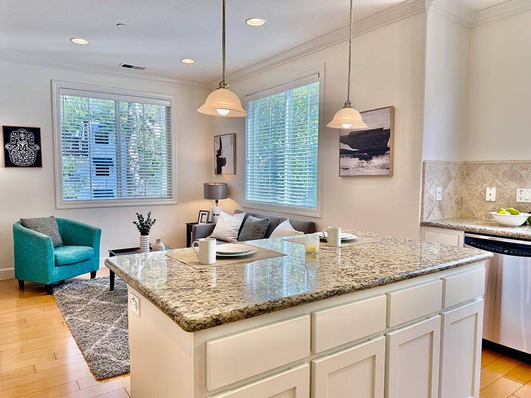 Sunnyvale, CA 94089,1009 Jena TER
