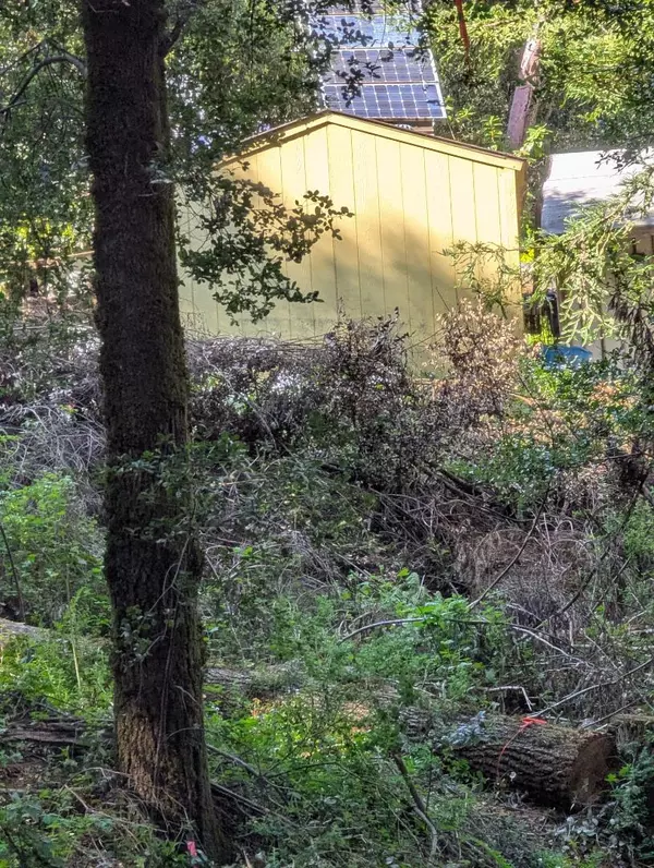 Felton, CA 95018,11259 Fresco ST
