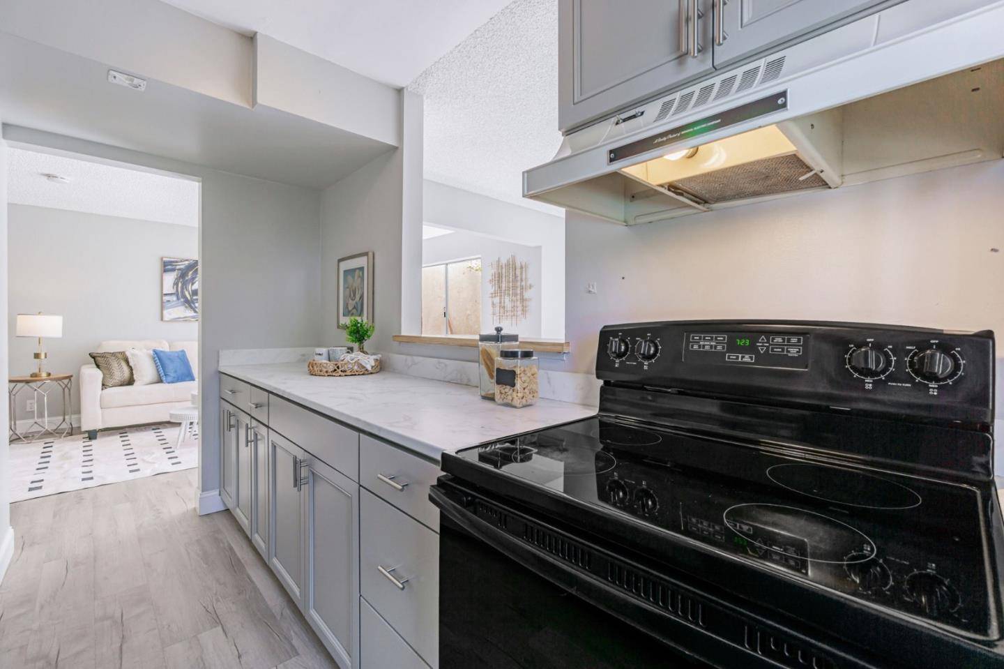 Concord, CA 94520,1680 Laguna ST H