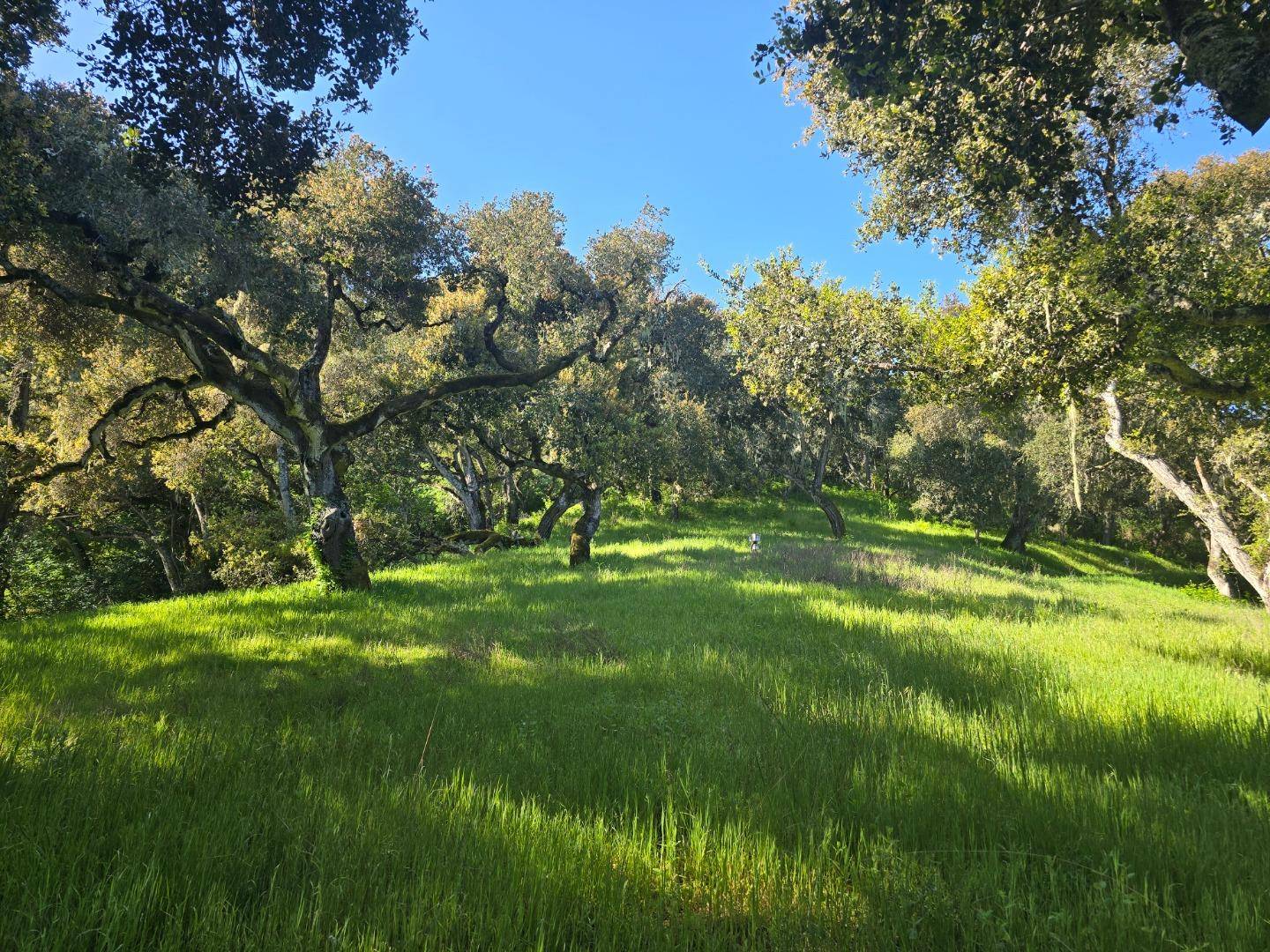 16 SLEEPY HOLLOW DRIVE, Carmel Valley, CA 93924