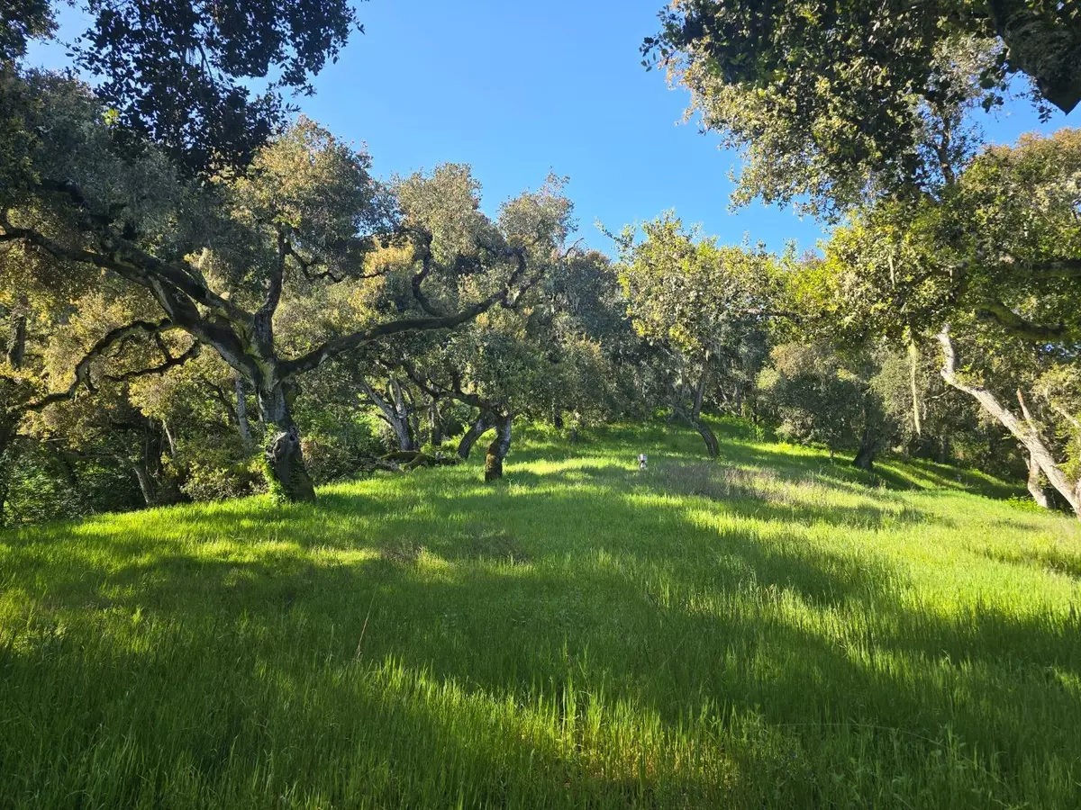 Carmel Valley, CA 93924,16 SLEEPY HOLLOW DRIVE