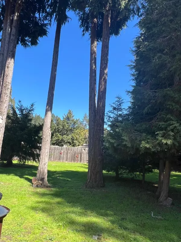 Felton, CA 95018,149 Park AVE