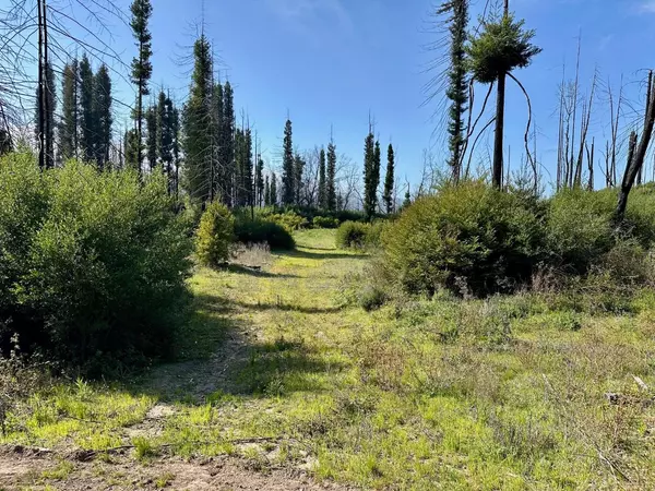 Davenport, CA 95017,4605 Last Chance RD