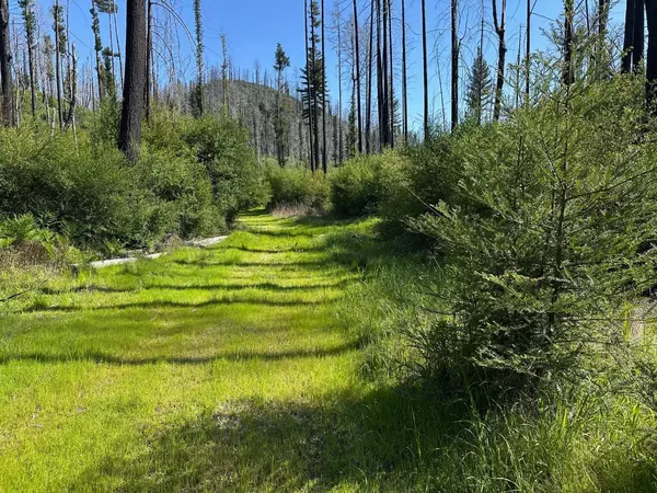 Davenport, CA 95017,4605 Last Chance RD