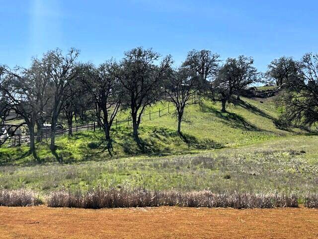 Lakeport, CA 95453,355 Pine Ridge RD