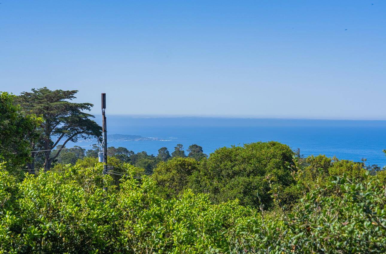 Carmel, CA 93923,24324 San Juan RD