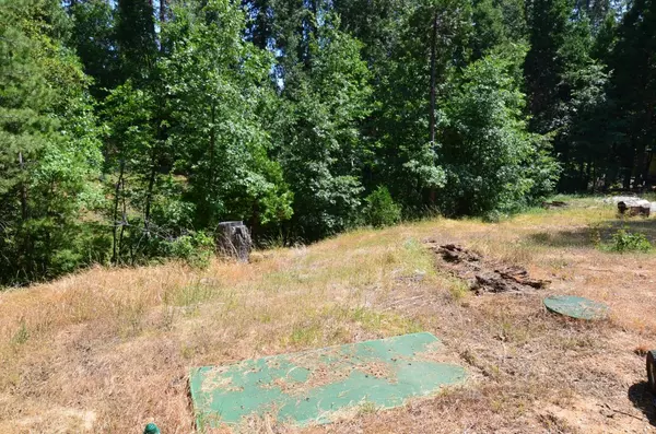 Avery, CA 95224,662 Roan WAY