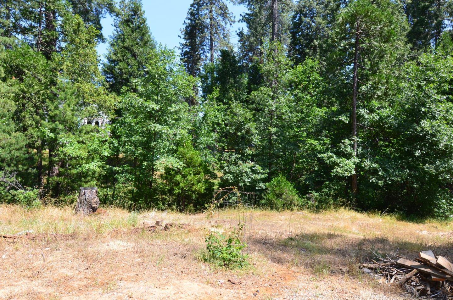 Avery, CA 95224,662 Roan WAY