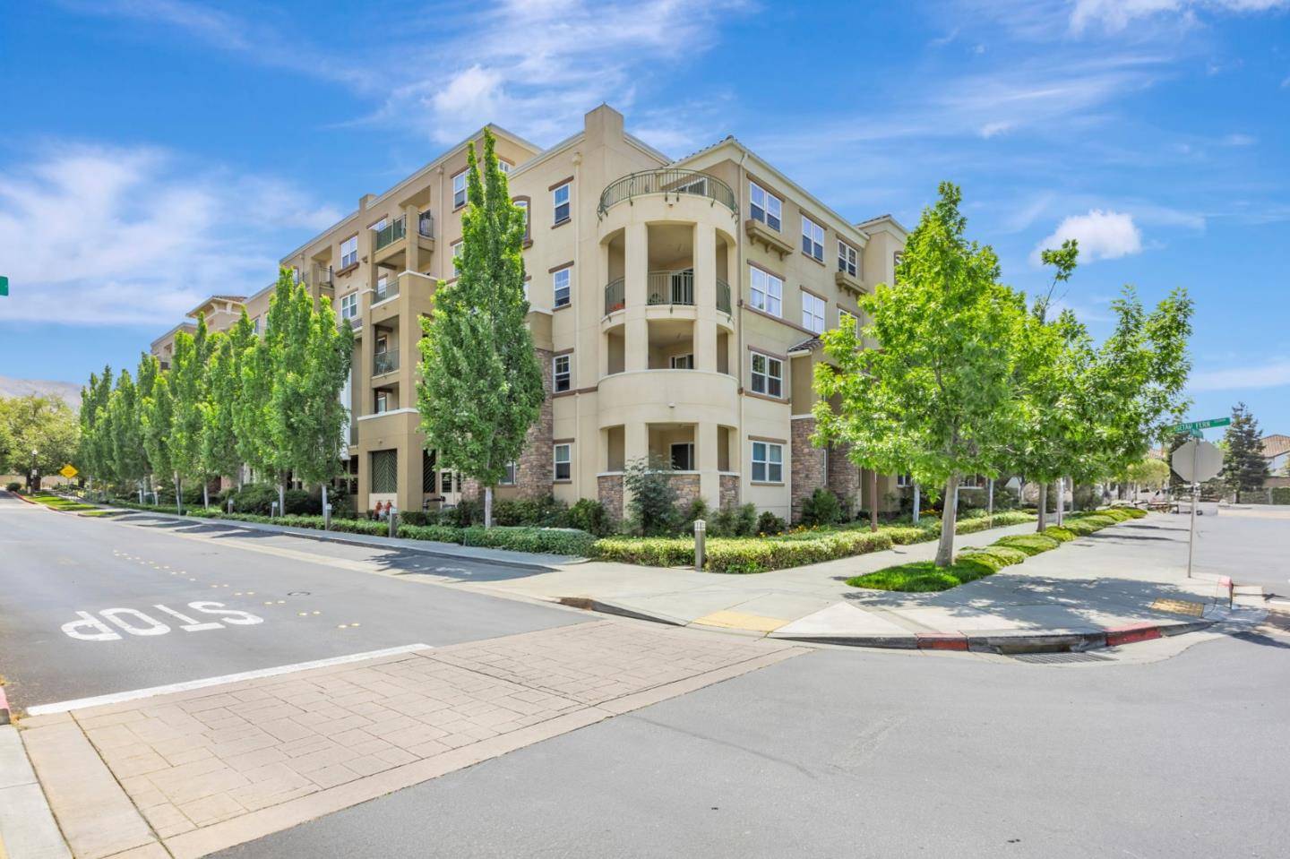Fremont, CA 94539,49002 Cinnamon Fern CMN 430