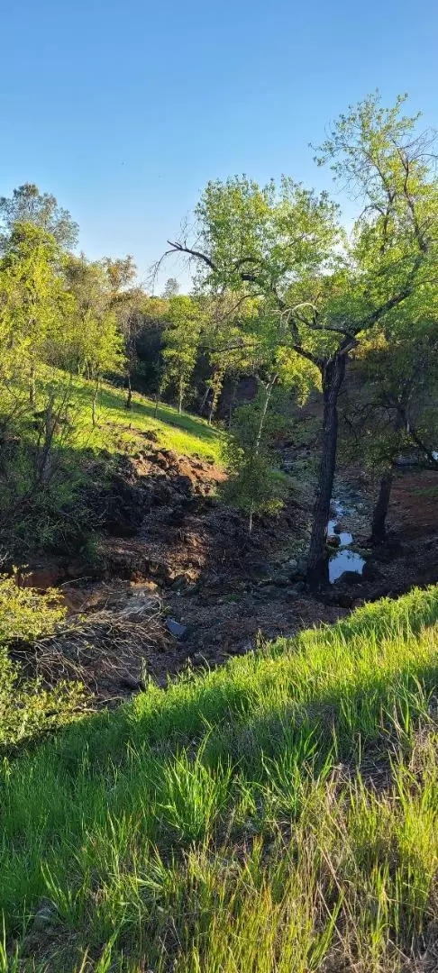 Coulterville, CA 95311,10470 Chicharra CT