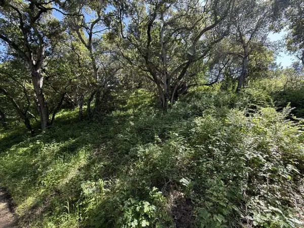 Belmont, CA 94002,0 Bartlett WAY