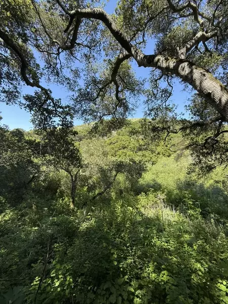 0 Bartlett WAY, Belmont, CA 94002