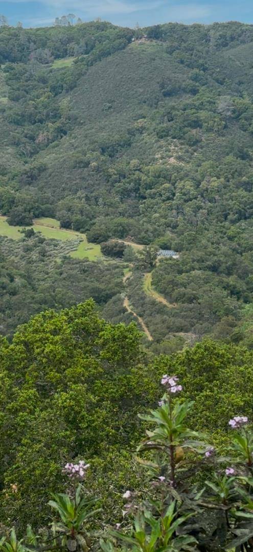00 Uvas RD, Morgan Hill, CA 95037
