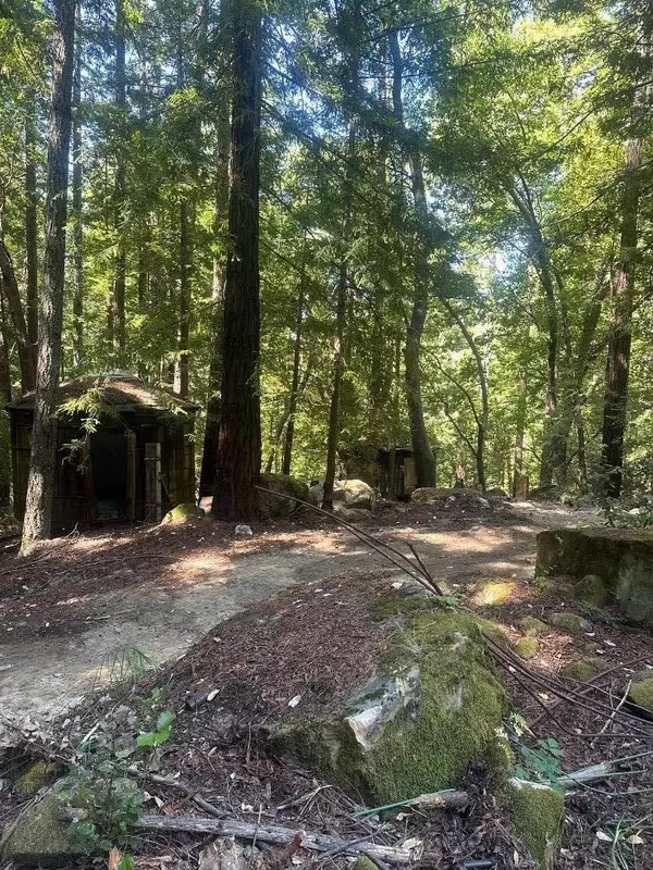 Boulder Creek, CA 95006,320 Timber Cove