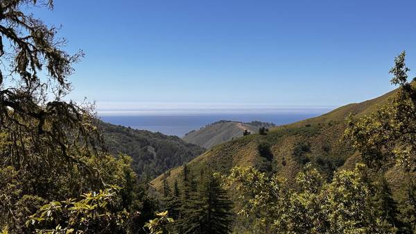 37783 Palo Colorado RD, Carmel, CA 93923