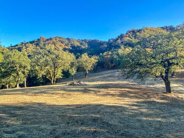 Carmel, CA 93923,22 Arroyo Sequoia