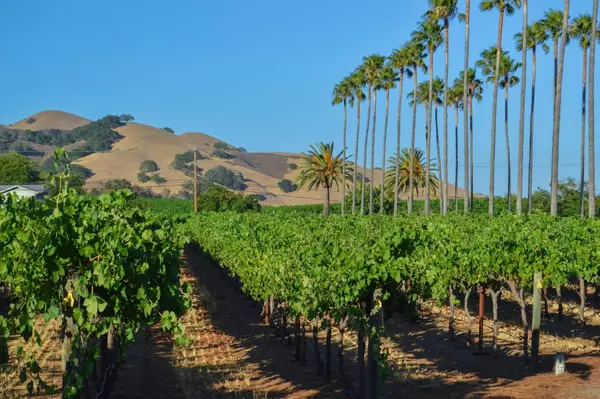 Gilroy, CA 95020,11775 Watsonville RD