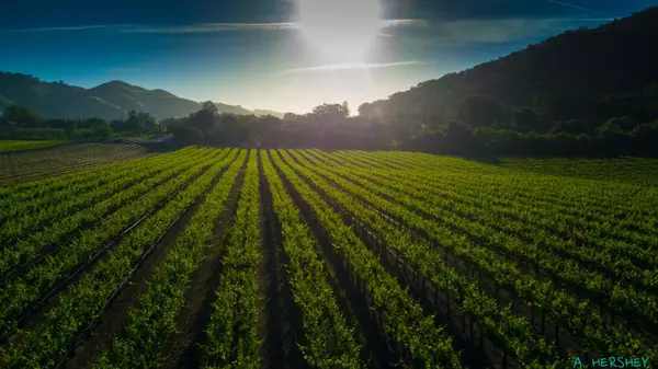 Gilroy, CA 95020,11775 Watsonville RD