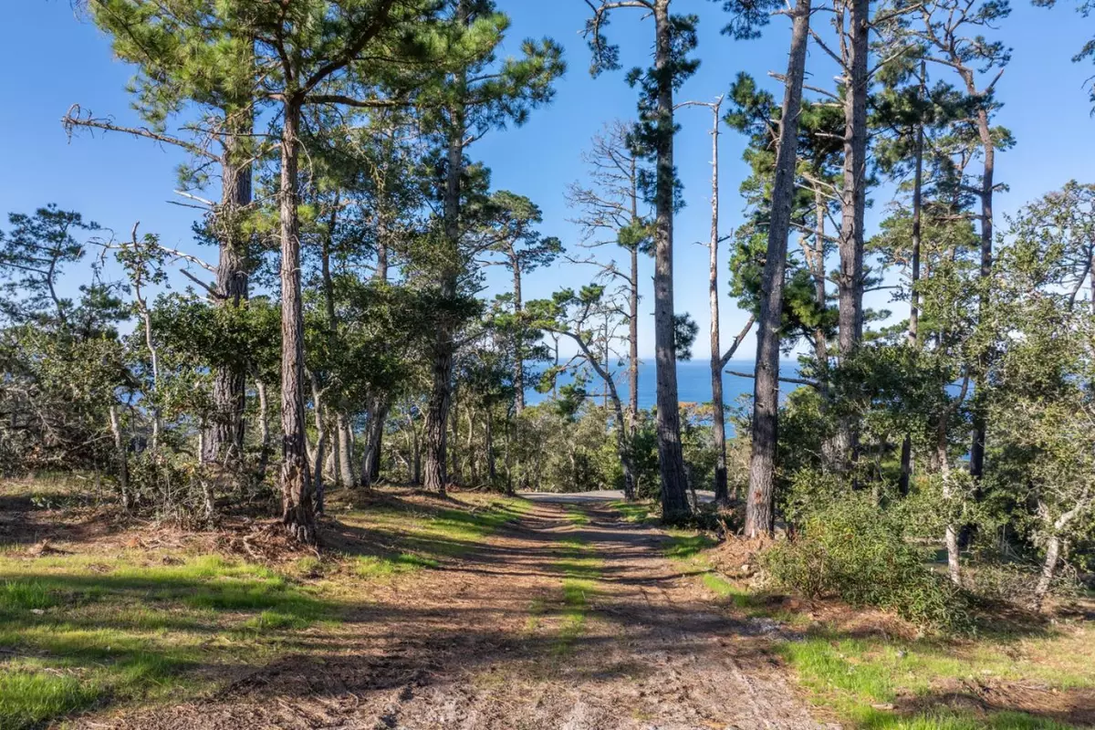 Carmel, CA 93923,90 Crest Road