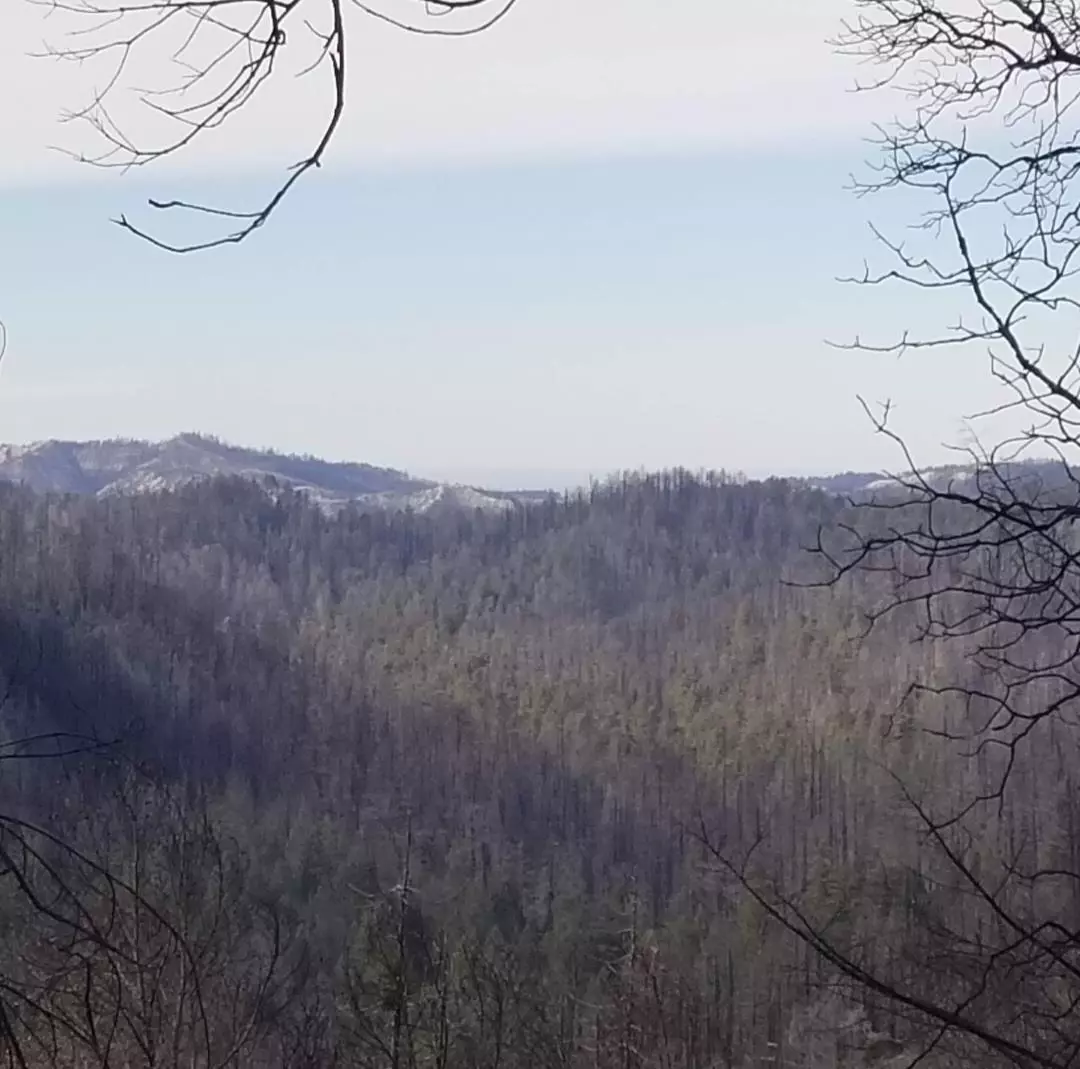 Boulder Creek, CA 95006,20604 Little Basin RD