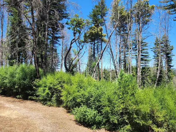 Boulder Creek, CA 95006,20604 Little Basin RD