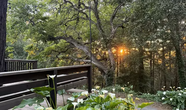 Los Gatos, CA 95033,50 Ocean View RD