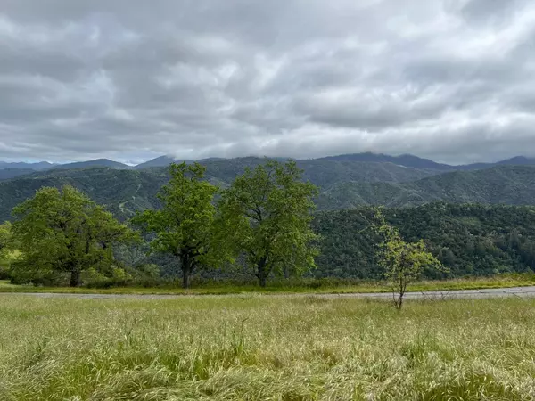 Carmel Valley, CA 93923,13 Long Ridge TRL