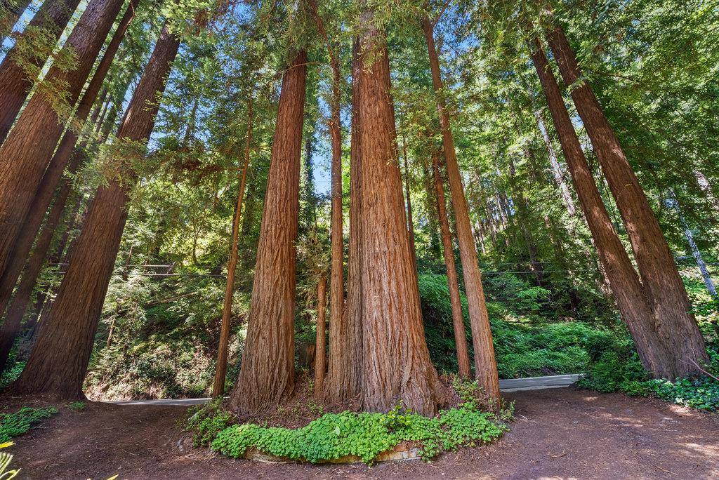 Aptos, CA 95003,3920 Porter Gulch RD