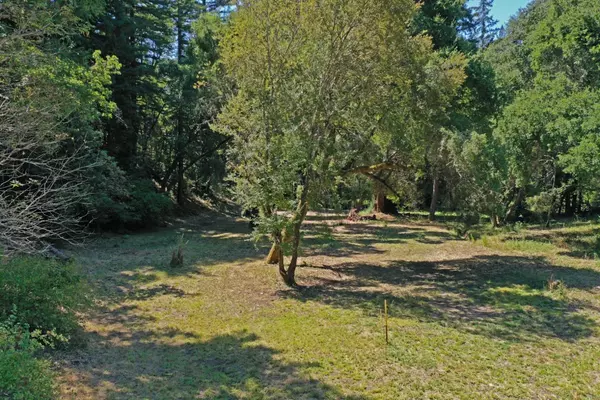 Boulder Creek, CA 95006,0 Coffeeberry
