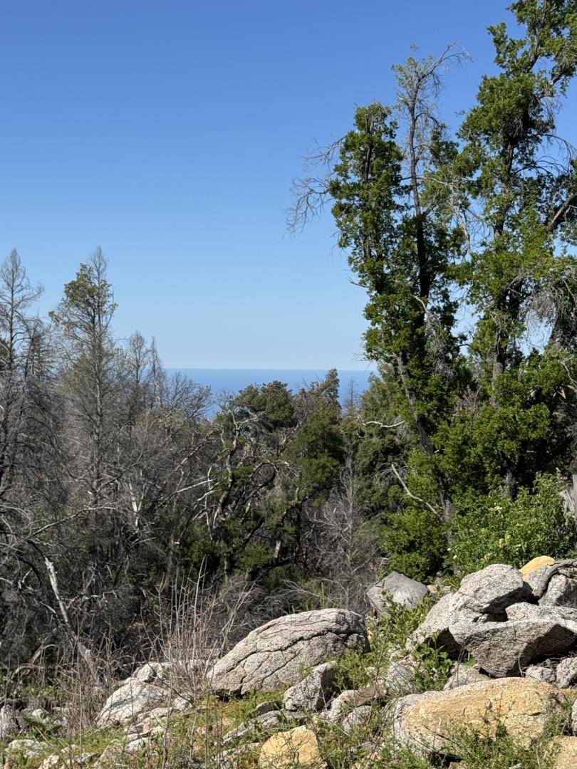 10701 Empire Grade, Santa Cruz, CA 95060