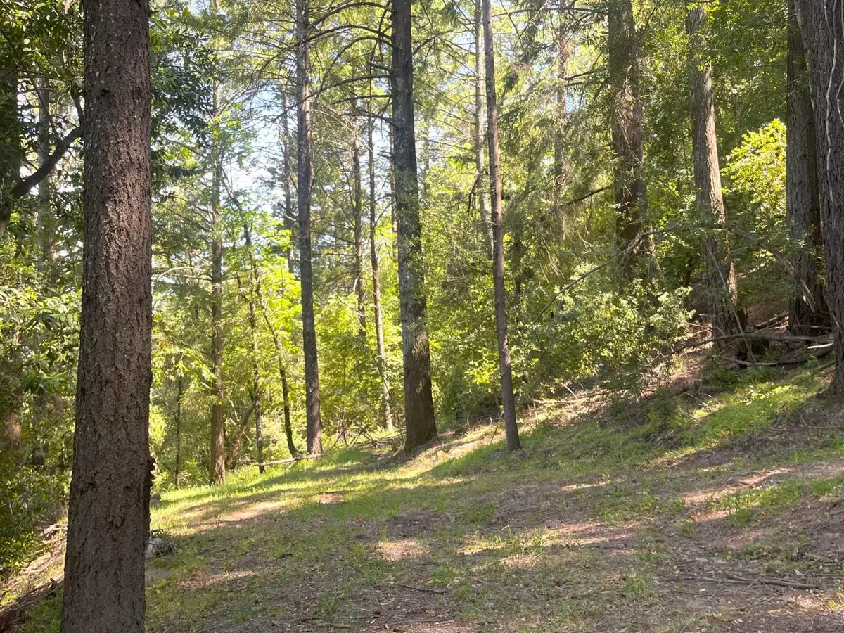 Los Gatos, CA 95033,19179 Skyline BLVD