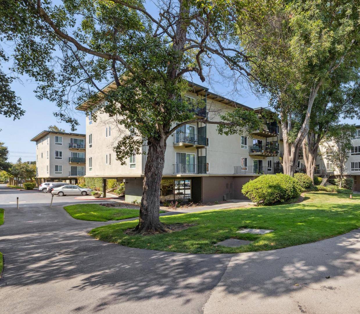 847 N Humboldt ST 204, San Mateo, CA 94401