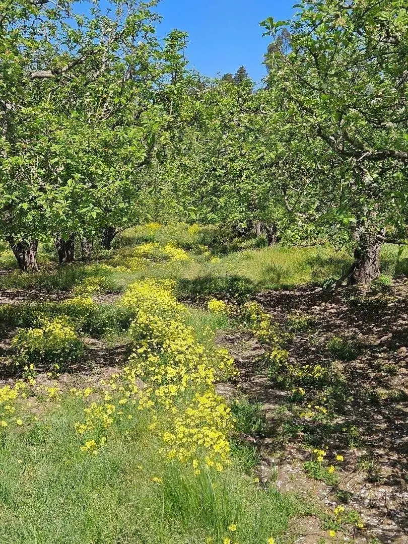 Corralitos, CA 95076,0 Storey RD