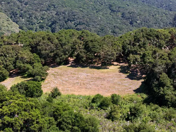 Carmel, CA 93923,4 Holding Field RUN