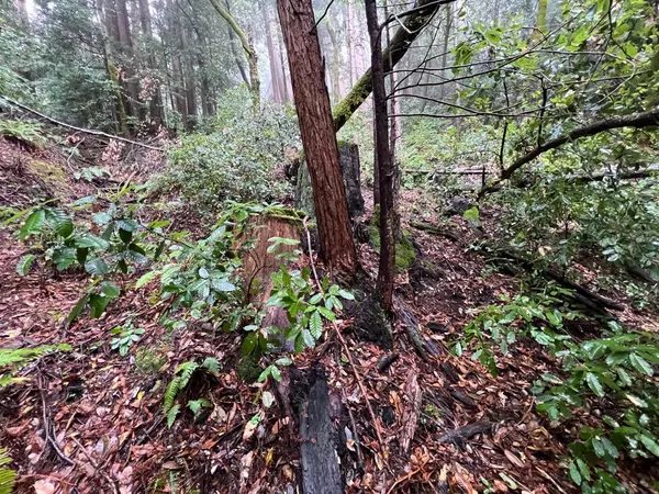 Scotts Valley, CA 95066,0 Deer Trail WAY