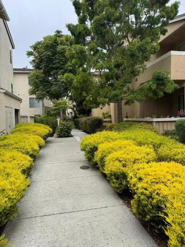 Santa Cruz, CA 95060,356 Everson DR