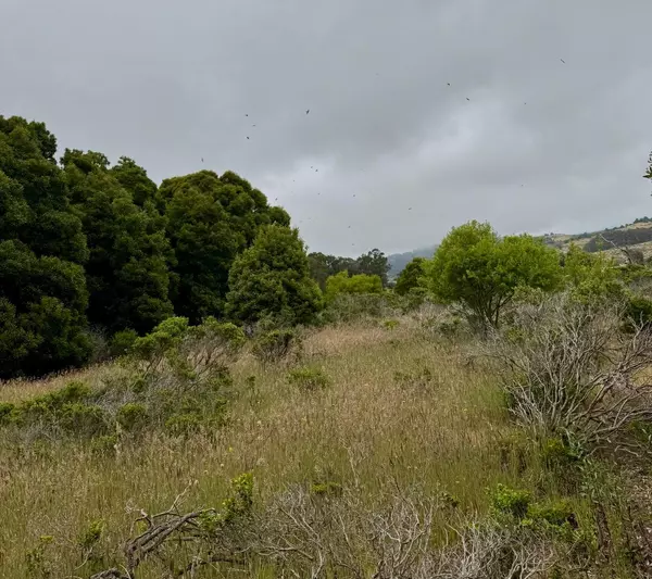 Half Moon Bay, CA 94019,00 Bonita