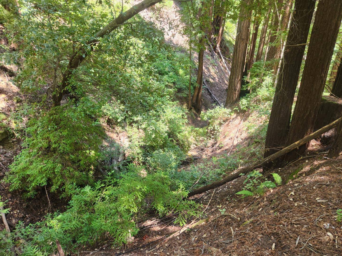 Los Gatos, CA 95033,0 Lost Valley