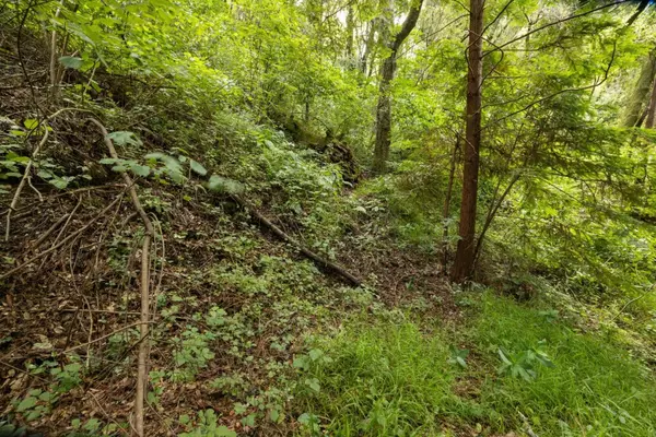 Aptos, CA 95003,Lot 02 Cathedral DR