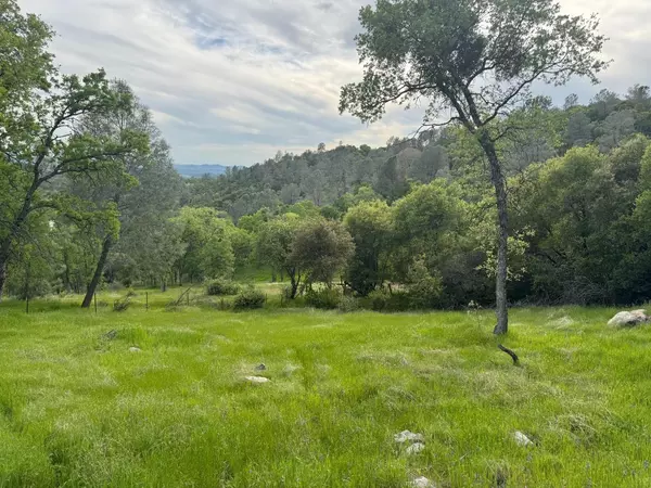 Sonora, CA 95370,000 Cabezut RD